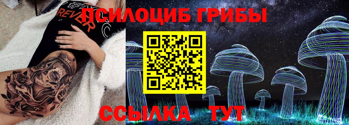 Гатчина  Галлюциногенные грибы MAGIC MUSHROOMS  дарнет шоп  Вход с VPN 